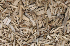 biomass boilers Burstwick